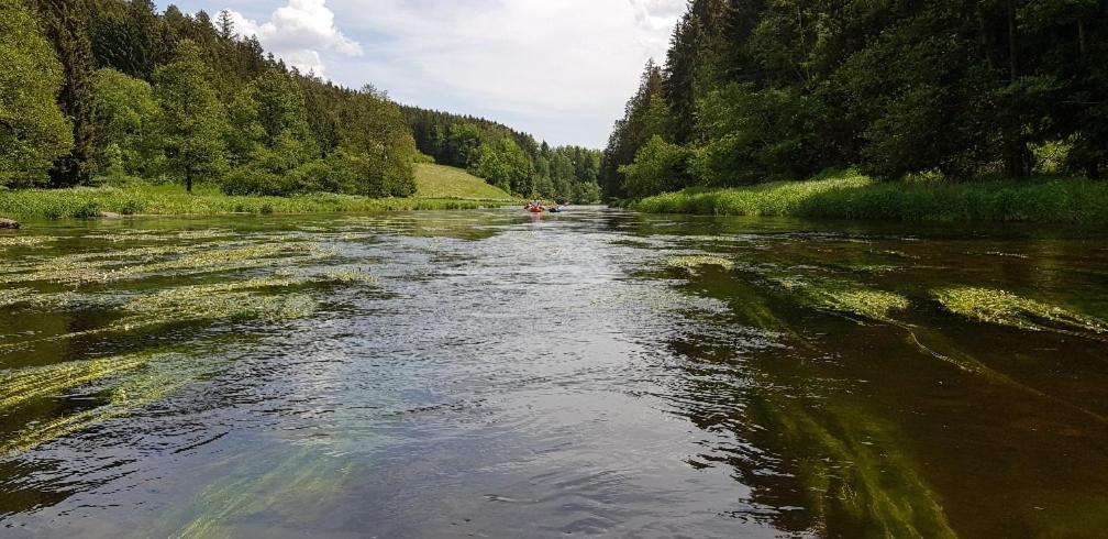 Ferienwohnung Wildgatter Grafenwiesen Exteriér fotografie