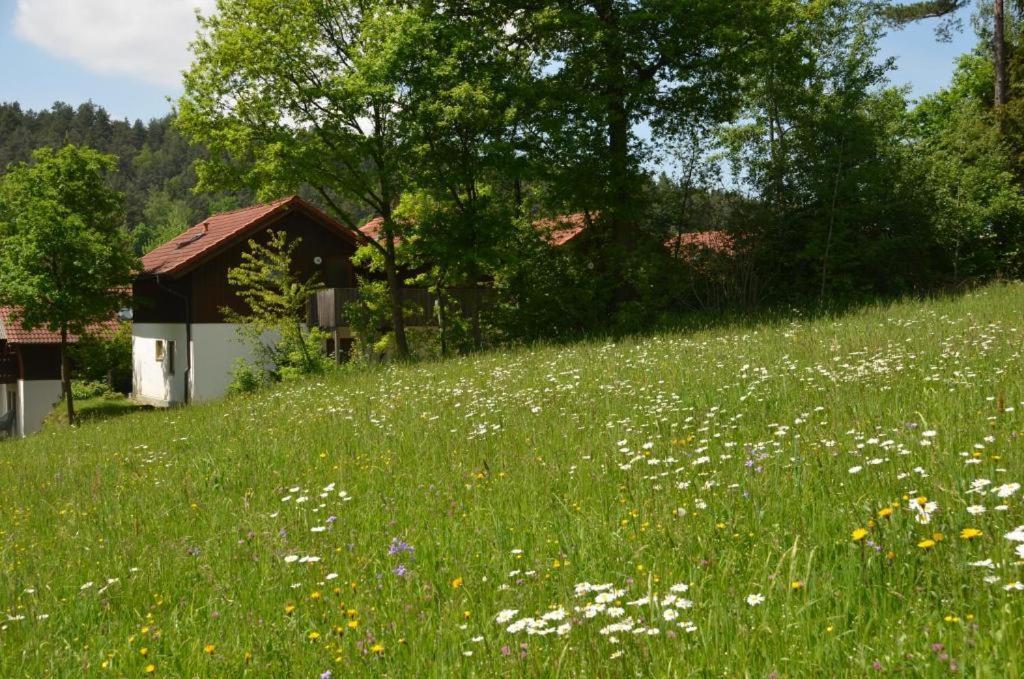 Ferienwohnung Wildgatter Grafenwiesen Exteriér fotografie